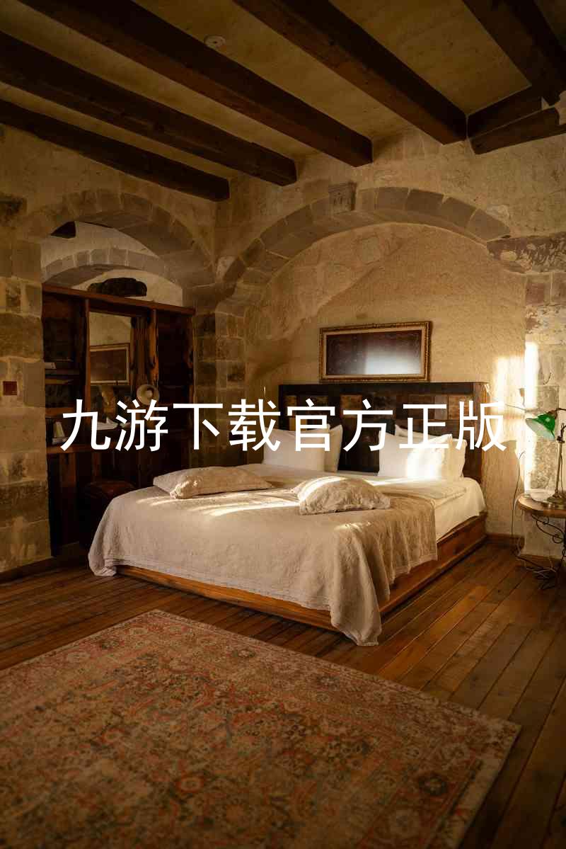 九游下载官方正版