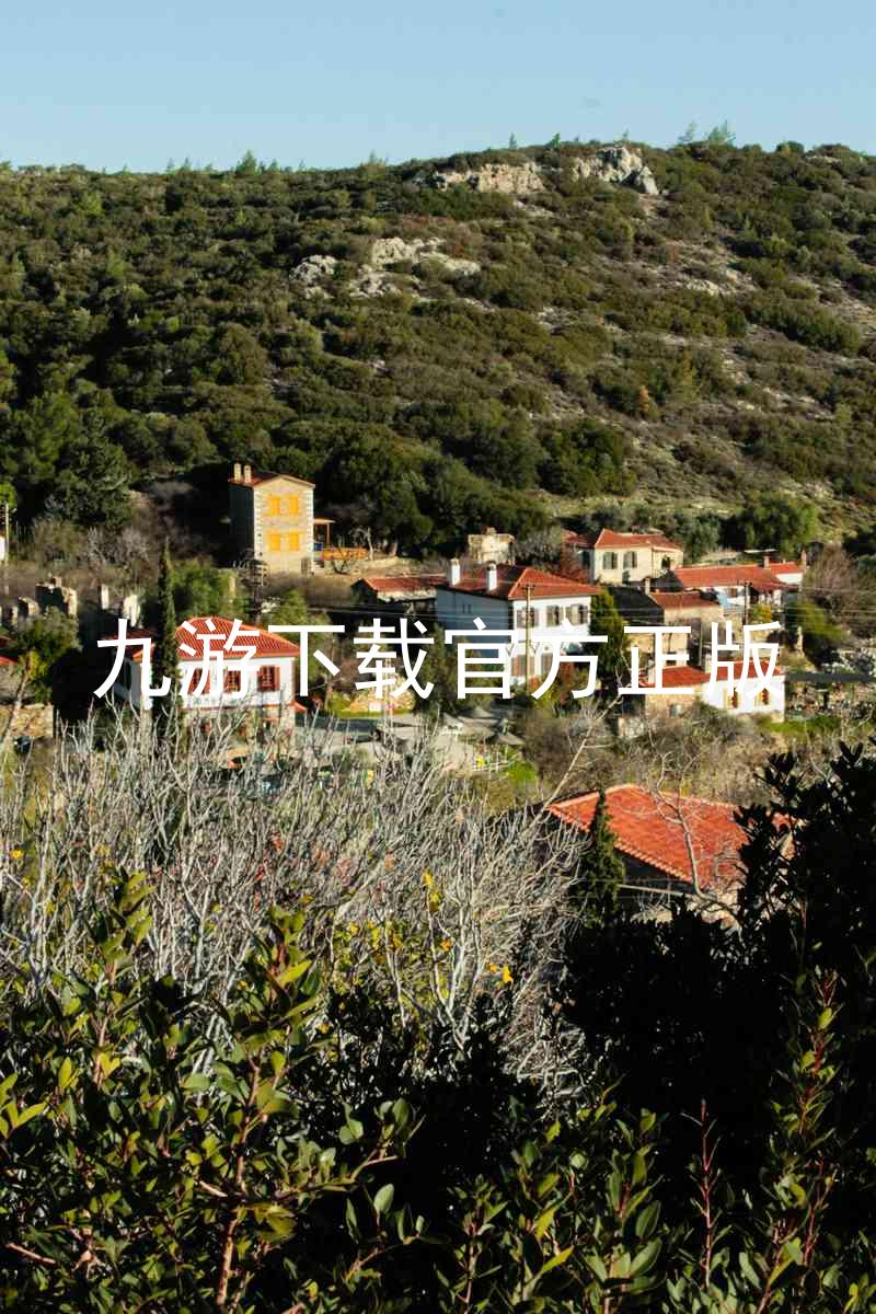 九游下载官方正版